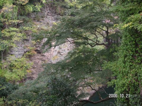 s_PICT0014.jpg
